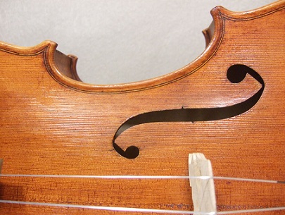A close-up of an early viola